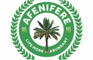 Afenifere Urges Tinubu To Declare Abiola Nigeria’s President