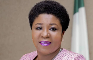 Move Away From Traditional Bureaucracy, Embrace Digital Reform – Walson-Jack