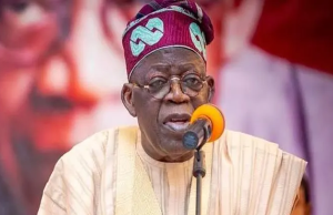 Tinubu Creates Armed Forest Guards To Reclaim Ungoverned Areas