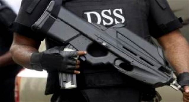 DSS-image