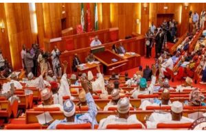 Senate Extends 2024 Budget Till December Amid Concerns