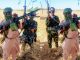 Many Feared Killed In Gun Battle Between Civilian Joint Force, Turji’s Men