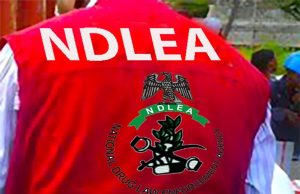 Abducted Anambra NDLEA director regains freedom