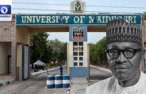 Tinubu Renames University Of Maiduguri After Buhari