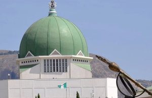 Natasha’s Suspension: 10th NASS Worst Nigeria Ever Had — Rights Advocate