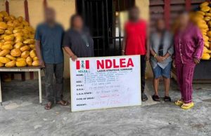 NDLEA Arrests Couple, Daughters For Drug Trafficking
