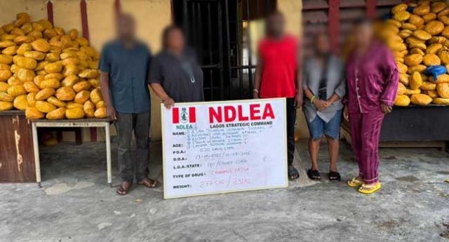 NDLEA-Arrest