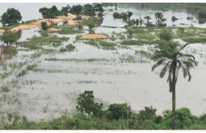 Eight Killed As Flood Ravages Households, Farmlands In Ebonyi