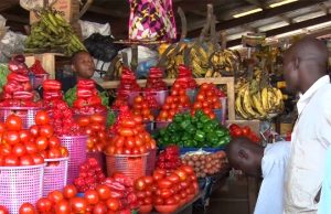 GMO Foods Are ‘Not Bad For Us,’ Should Be Labelled — NAFDAC