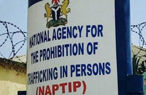 NAPTIP Rescues 25 Saudi-Bound Women From Trafficking Ring