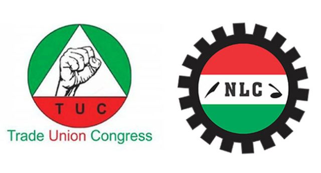 TUC-NLC