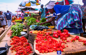 60% Of Nigeria’s Food Rot Due To Poor Storage —NAFDAC
