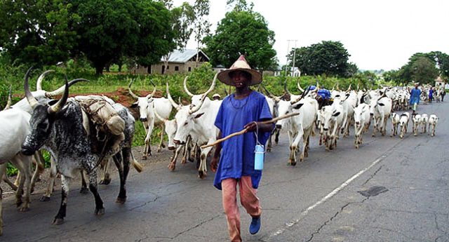 herdsmen_2