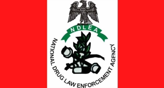 ndlea-logo