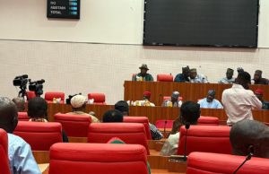 Senate Pays Tribute To Fallen Soldiers In Borno