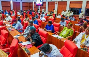 Bill To Curb Debt Dependence Scales Second Reading In Senate