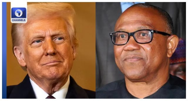 Trump-Peter-Obi