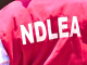 NDLEA Seizes ₦6.7bn Worth Of Tramadol, Codeine From Lagos Warehouse