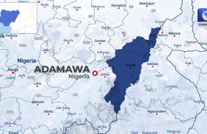 Adamawa Govt Imposes 24-Hour Curfew On Lamurde LGA After Fresh Violence