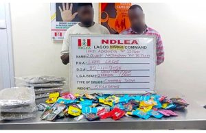 NDLEA Uncovers Drugs Packaged As Christmas Cookies, Arrests Suspects