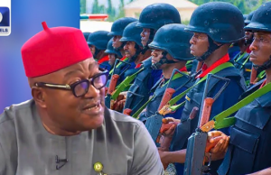 NSCDC Lacks Capacity For VIP Protection — Ex-DSS Director