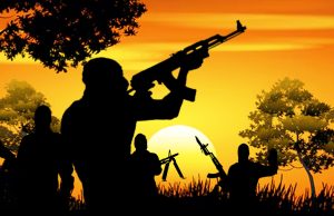 Police Confirm Kaduna Abduction After Initial Denial
