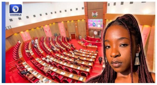 Ifunanya-Nwangene-Senate