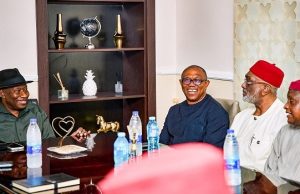 2027: Peter Obi, South-East Leaders Meet Jonathan Behind Closed Doors