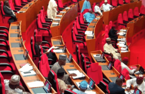 Senate Approves National Food Reserve Plan to Stabilise Prices