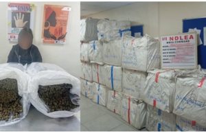 NDLEA Arrests 63-Year-Old Chinese Woman With 31kg Cannabis At Lagos Airport