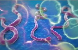 Suspected Ebola Cases Top 900 In DR Congo