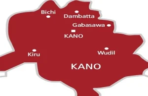 Kano LG chair shuts school over alleged sexual abuse of pupils