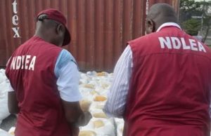 NDLEA Dismantles Nigerian-Mexican Meth Syndicate, Seizes ₦480bn Drugs In Ogun Forest