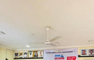 2026 International Nurses Day: Association raises migration concerns