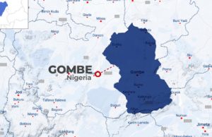 GOSIEC Declares APC Winner of Gombe Council Elections Gombe-map