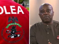 FG Working To Scrap Fine Option For Convicted Drug Traffickers – NDLEA