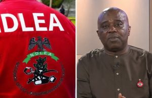 FG Working To Scrap Fine Option For Convicted Drug Traffickers – NDLEA
