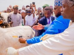 Radda Launches Statewide Livestock Vaccination Exercise Across Katsina’s 361 Wards