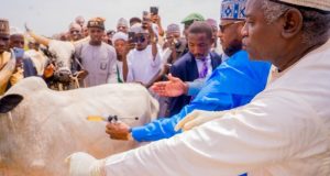 Radda Launches Statewide Livestock Vaccination Exercise Across Katsina’s 361 Wards