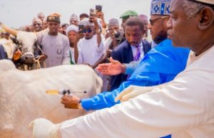 Radda Launches Statewide Livestock Vaccination Exercise Across Katsina’s 361 Wards