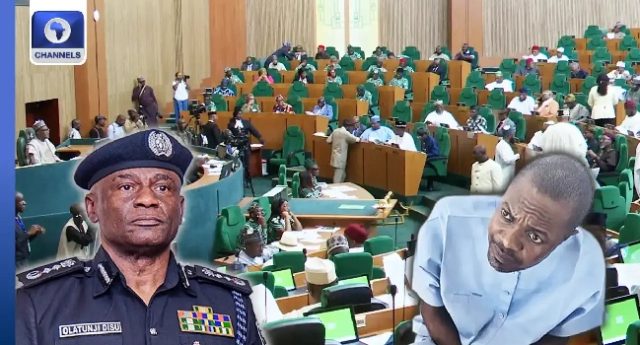 IGP-Reps-and-Adeyemi