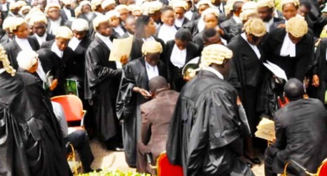 Lawyers