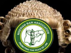 DSS, Foreign Observers To Monitor NBA Election As President Allays Rigging Fears NBA