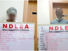 NDLEA Nabs 67-Year-Old Grandmother With Cocaine Hidden In Fake Plantains NLEA