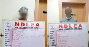 NDLEA Nabs 67-Year-Old Grandmother With Cocaine Hidden In Fake Plantains NLEA