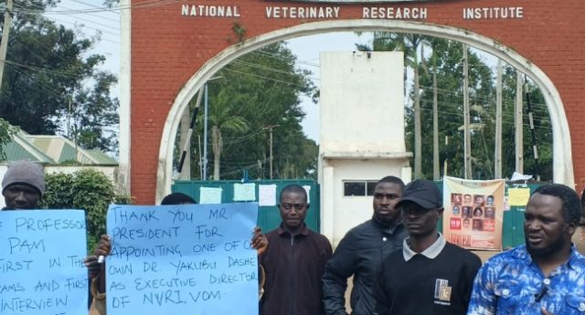 protest-jos