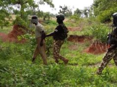 Troops Arrest Suspected Foreign Terrorist In Borno troops-borno-
