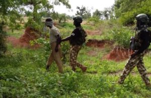 Troops Arrest Suspected Foreign Terrorist In Borno troops-borno-