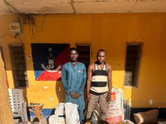 Troops arrest two suspected ISWAP logistics suppliers in Borno, recover terrorists’ gate pass