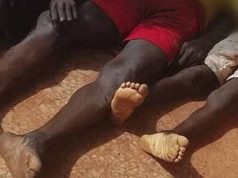 Suspected herders k!ll father and his two children in fresh Benue attack